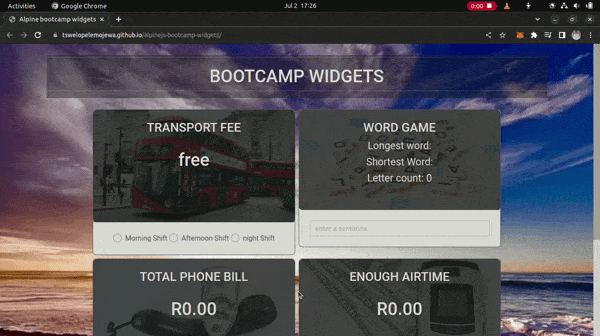 Widgets for Bootcamp functions